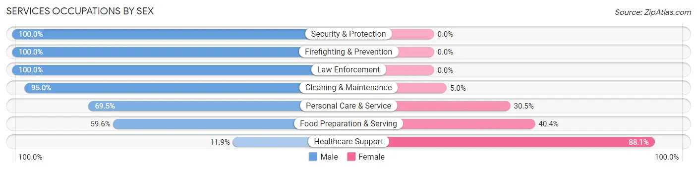 Services Occupations by Sex in Zip Code 03033