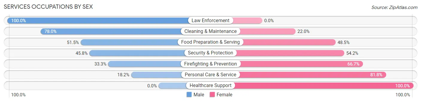Services Occupations by Sex in Zip Code 03037