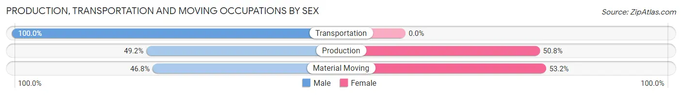 Production, Transportation and Moving Occupations by Sex in Zip Code 03042