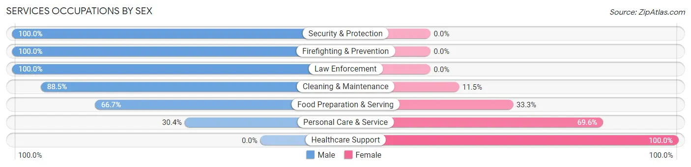 Services Occupations by Sex in Zip Code 03043