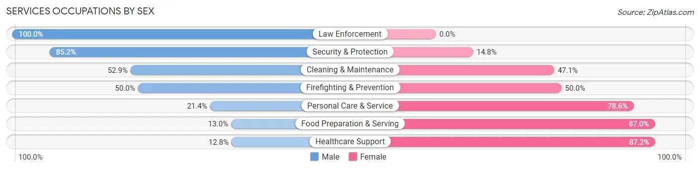 Services Occupations by Sex in Zip Code 03044