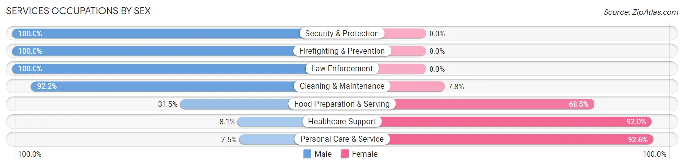 Services Occupations by Sex in Zip Code 03045