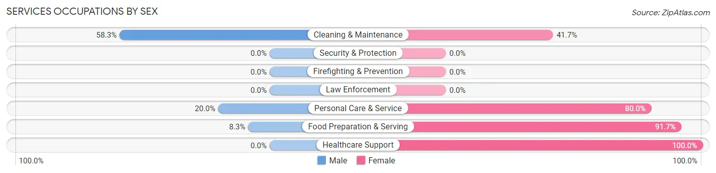 Services Occupations by Sex in Zip Code 03047
