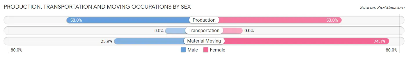 Production, Transportation and Moving Occupations by Sex in Zip Code 03049