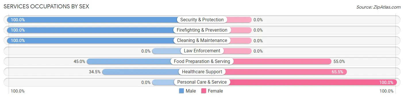 Services Occupations by Sex in Zip Code 03049