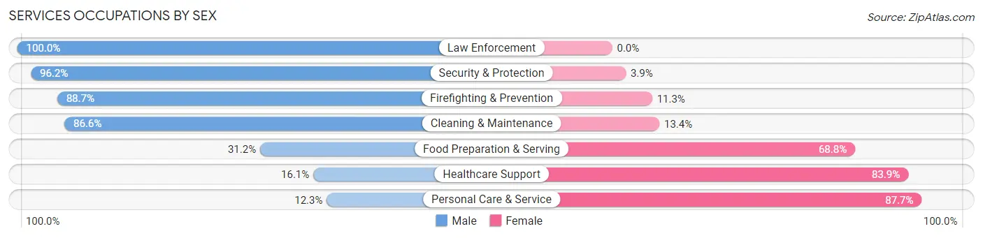 Services Occupations by Sex in Zip Code 03051