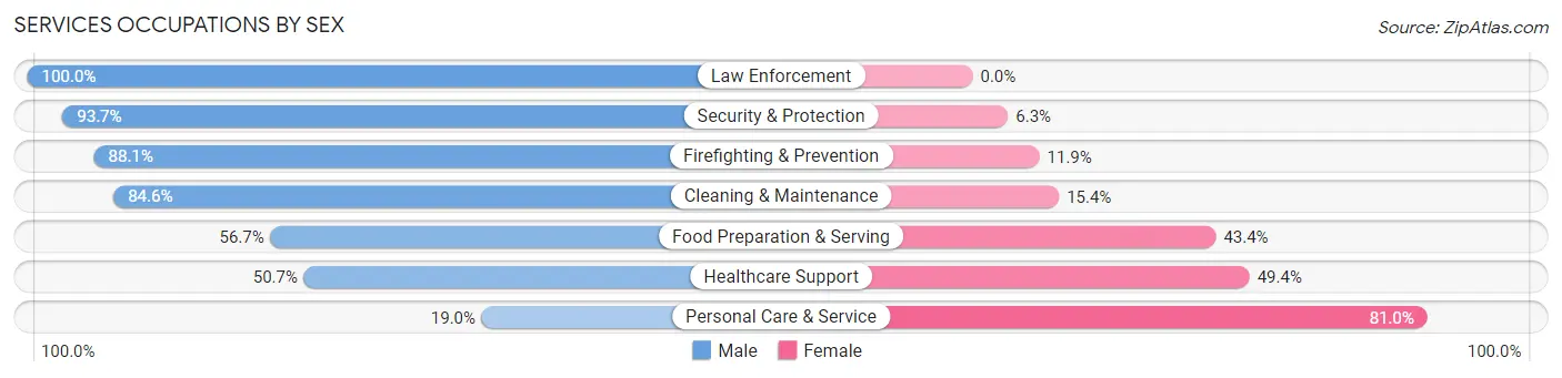 Services Occupations by Sex in Zip Code 03054