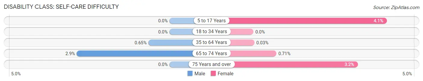 Disability in Zip Code 03055: <span>Self-Care Difficulty</span>