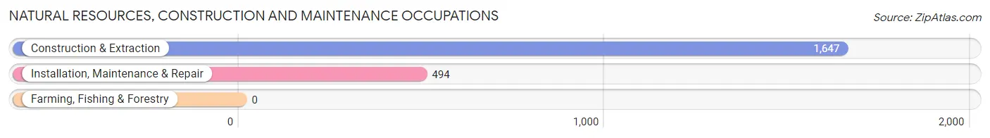 Natural Resources, Construction and Maintenance Occupations in Zip Code 03060