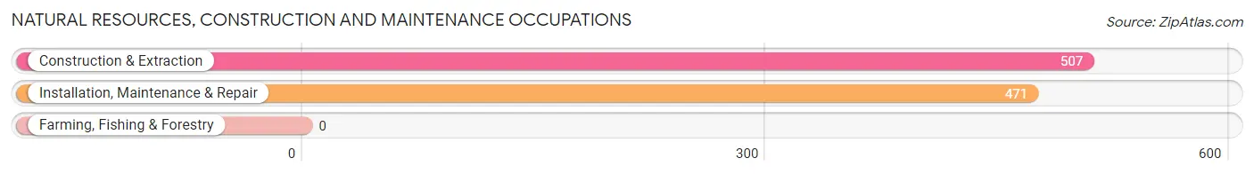 Natural Resources, Construction and Maintenance Occupations in Zip Code 03062