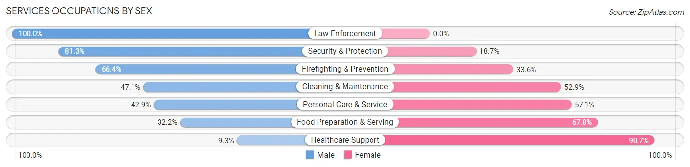 Services Occupations by Sex in Zip Code 03062