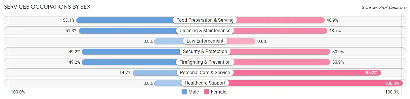 Services Occupations by Sex in Zip Code 03070