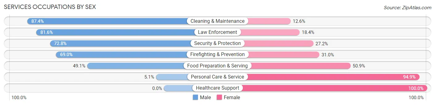 Services Occupations by Sex in Zip Code 03076