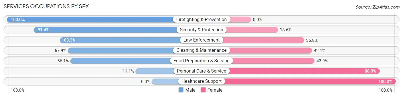 Services Occupations by Sex in Zip Code 03077