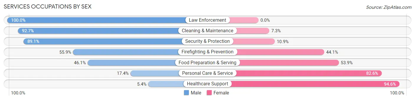 Services Occupations by Sex in Zip Code 03079