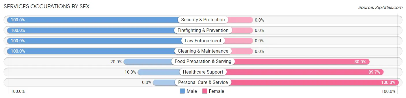 Services Occupations by Sex in Zip Code 03082