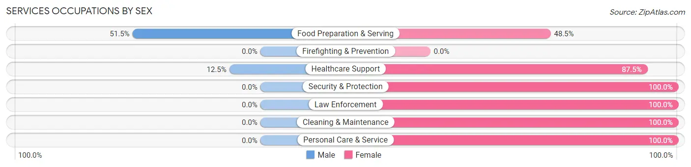 Services Occupations by Sex in Zip Code 03101