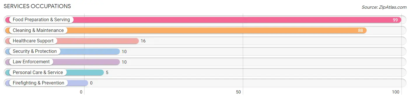 Services Occupations in Zip Code 03101