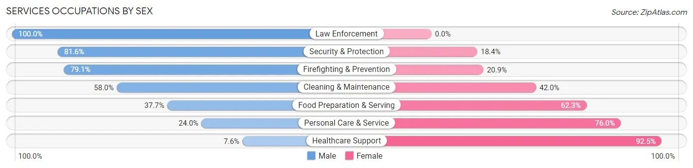 Services Occupations by Sex in Zip Code 03102