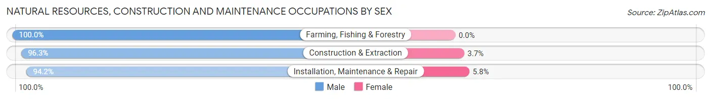 Natural Resources, Construction and Maintenance Occupations by Sex in Zip Code 03104