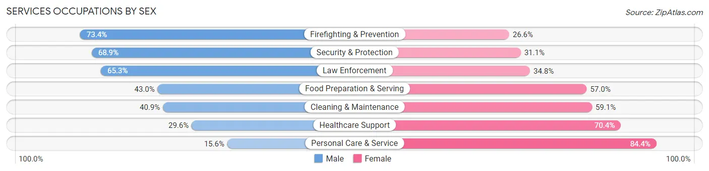Services Occupations by Sex in Zip Code 03104