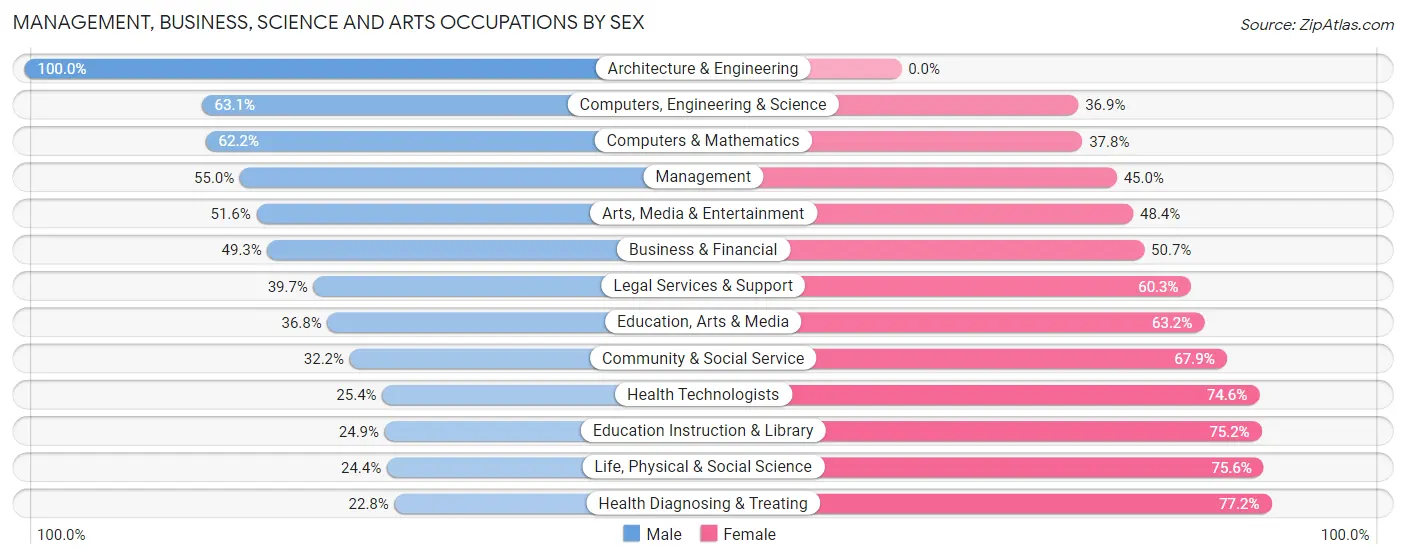 Management, Business, Science and Arts Occupations by Sex in Zip Code 03106