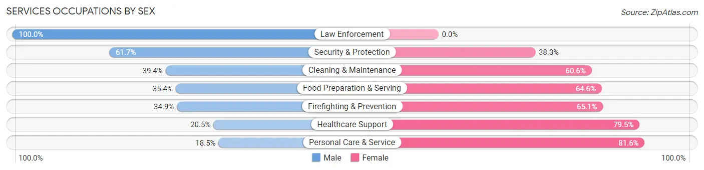 Services Occupations by Sex in Zip Code 03106