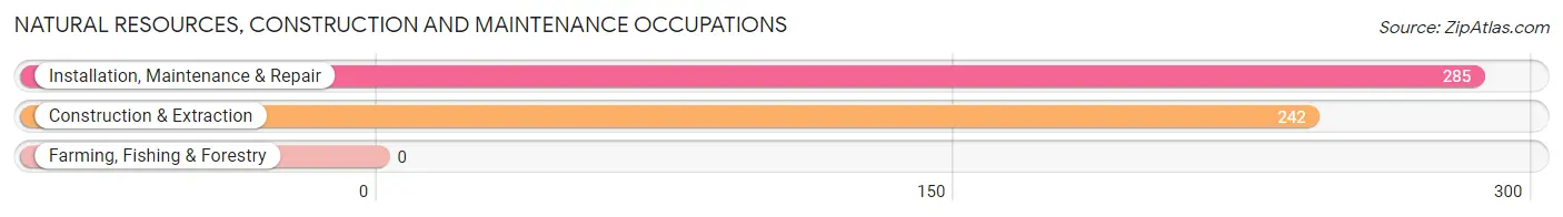 Natural Resources, Construction and Maintenance Occupations in Zip Code 03109