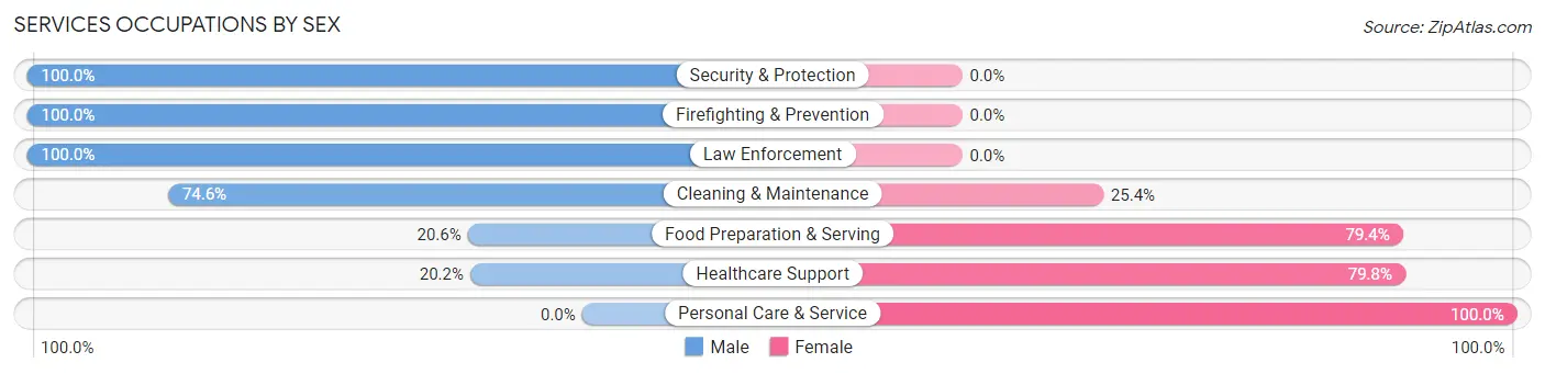 Services Occupations by Sex in Zip Code 03109