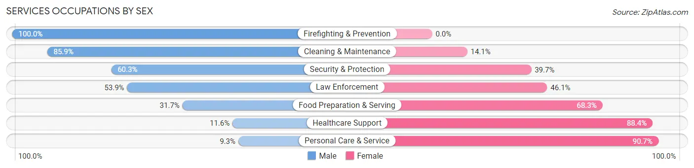 Services Occupations by Sex in Zip Code 03110