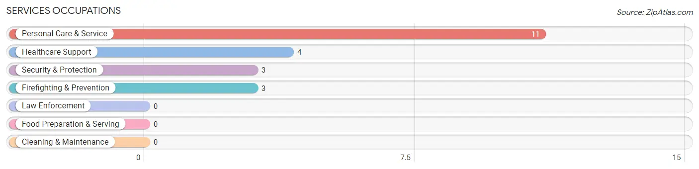 Services Occupations in Zip Code 03215