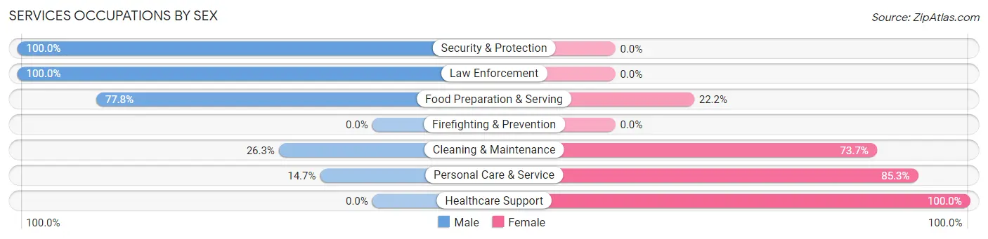 Services Occupations by Sex in Zip Code 03216