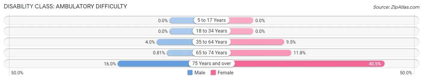 Disability in Zip Code 03220: <span>Ambulatory Difficulty</span>