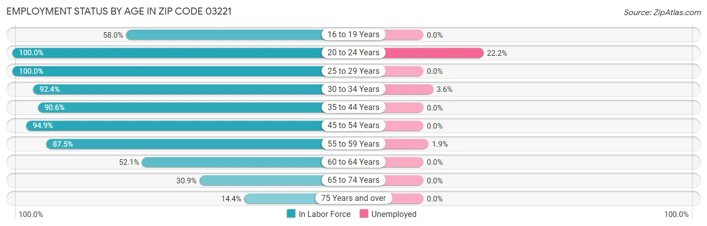 Employment Status by Age in Zip Code 03221