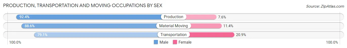 Production, Transportation and Moving Occupations by Sex in Zip Code 03221