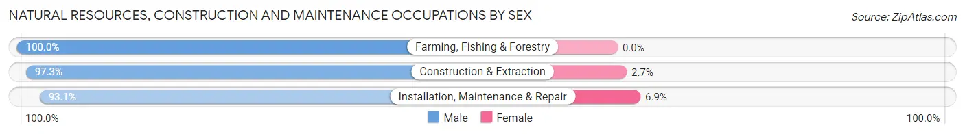Natural Resources, Construction and Maintenance Occupations by Sex in Zip Code 03222