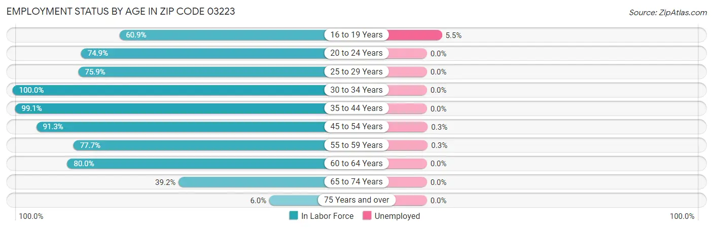 Employment Status by Age in Zip Code 03223
