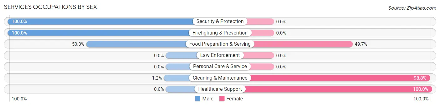 Services Occupations by Sex in Zip Code 03223