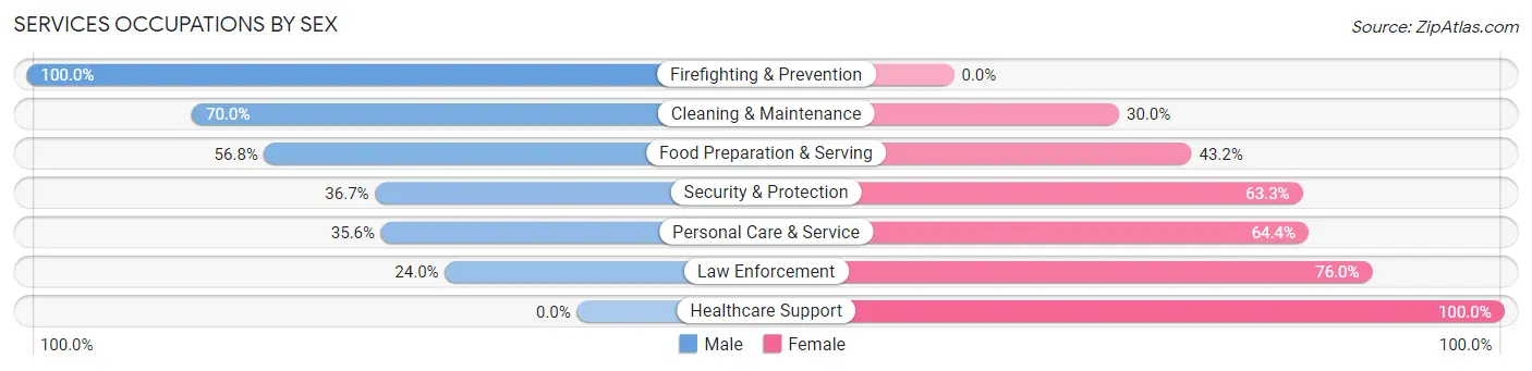 Services Occupations by Sex in Zip Code 03224