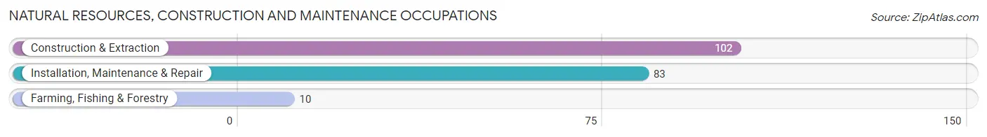 Natural Resources, Construction and Maintenance Occupations in Zip Code 03225