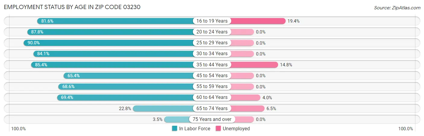 Employment Status by Age in Zip Code 03230