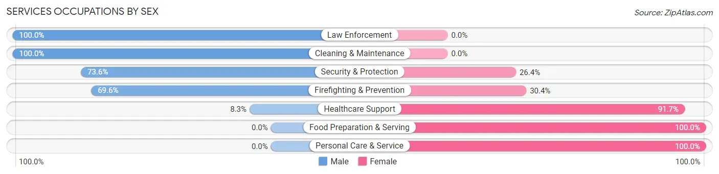 Services Occupations by Sex in Zip Code 03234