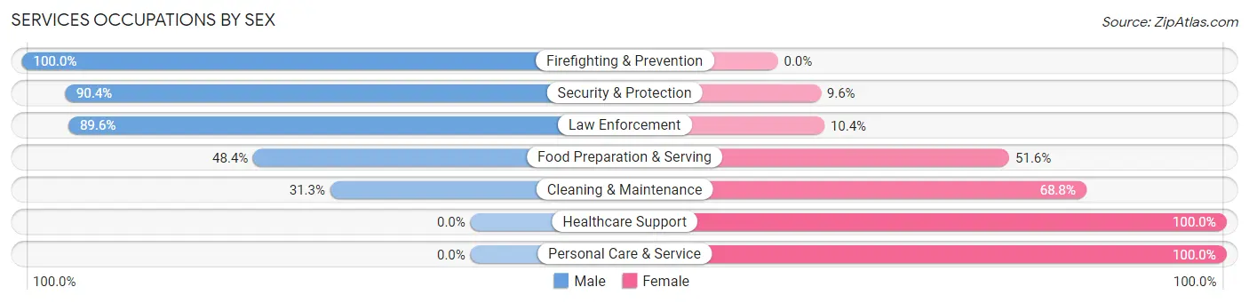 Services Occupations by Sex in Zip Code 03235