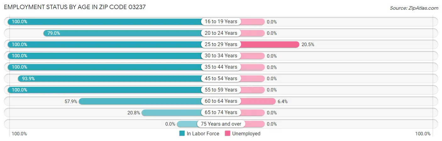 Employment Status by Age in Zip Code 03237