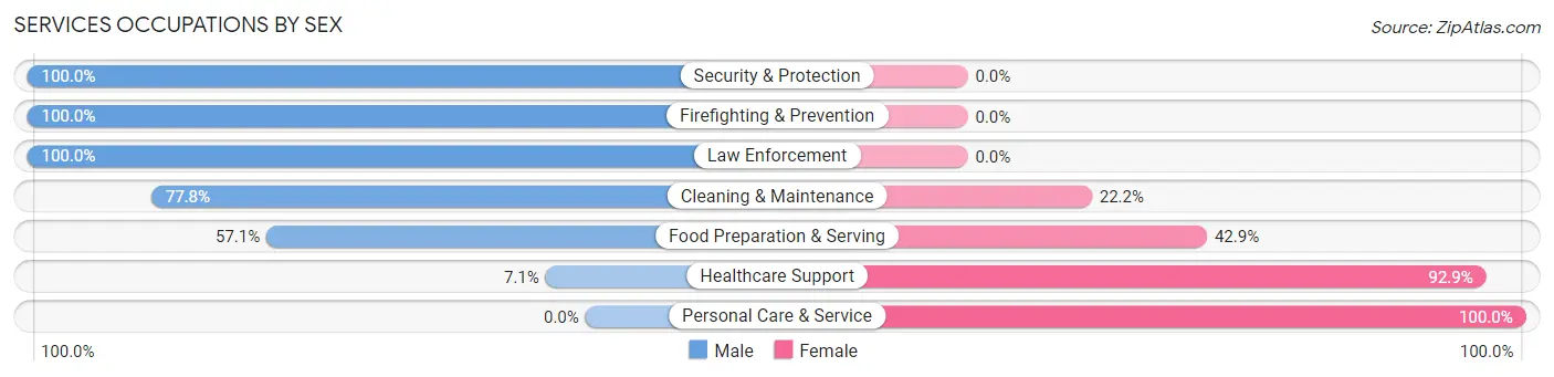 Services Occupations by Sex in Zip Code 03240