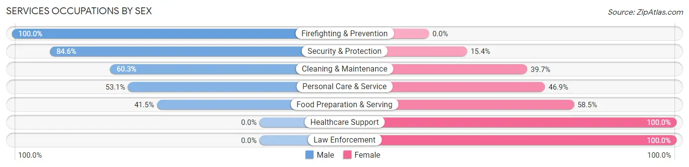 Services Occupations by Sex in Zip Code 03244