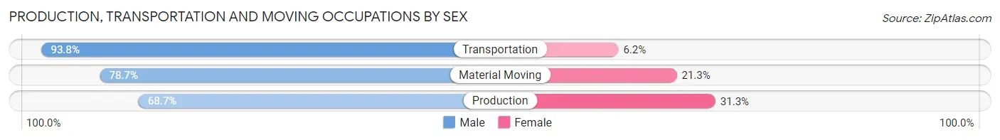 Production, Transportation and Moving Occupations by Sex in Zip Code 03246