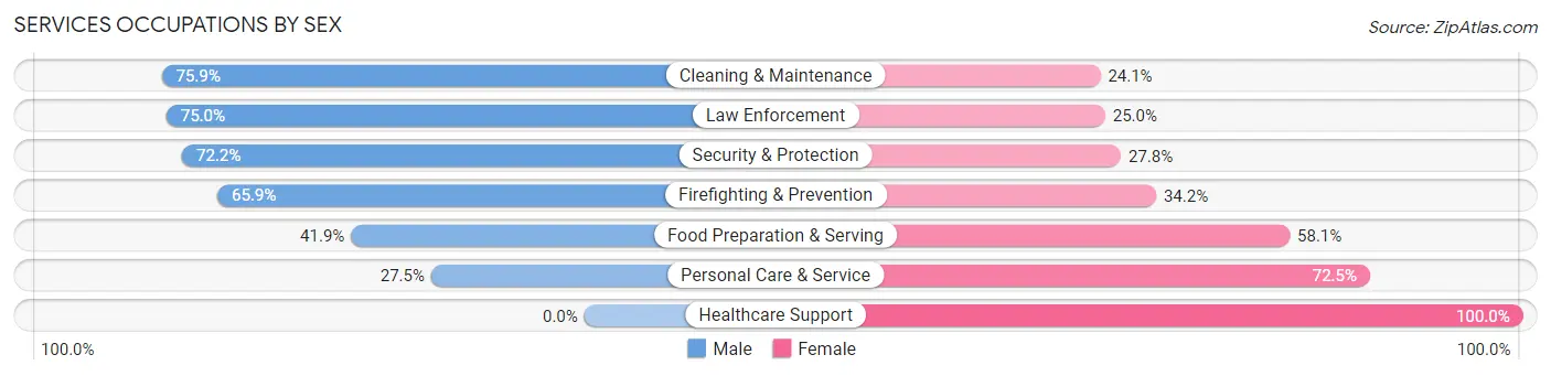 Services Occupations by Sex in Zip Code 03246