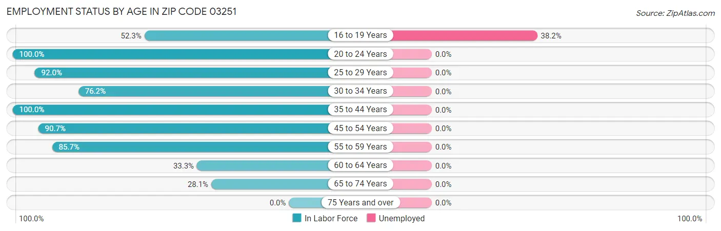 Employment Status by Age in Zip Code 03251