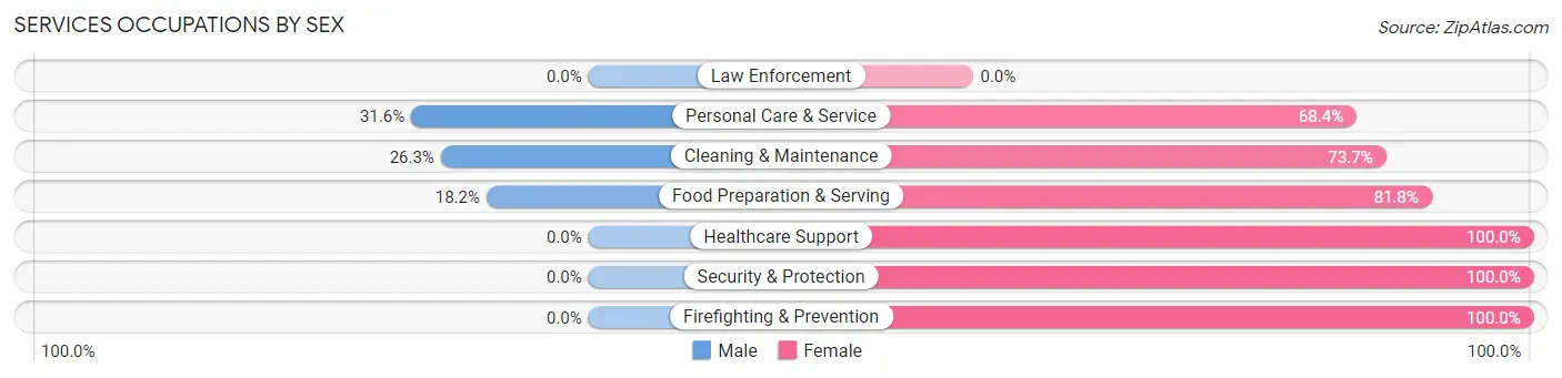 Services Occupations by Sex in Zip Code 03251